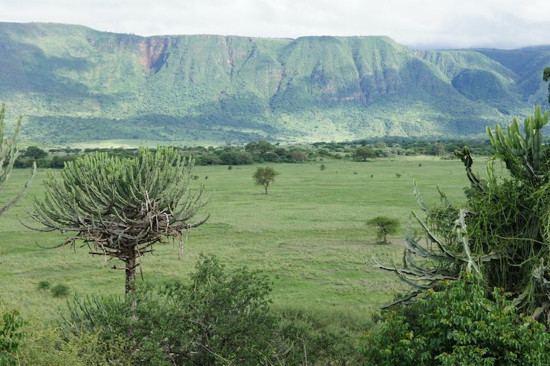 cratère ngorongoro tanzanie