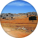 Avis de voyageurs - De retour d'Andalousie