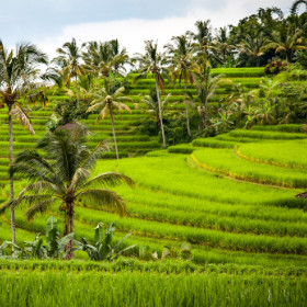 INDONESIE - Une destination de l'Heure Vagabonde