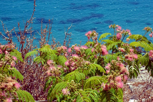 almeria cala san pedro