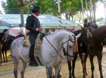 cheval feria andalousie