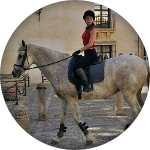 Avis de voyageurs : un groupe en Andalousie