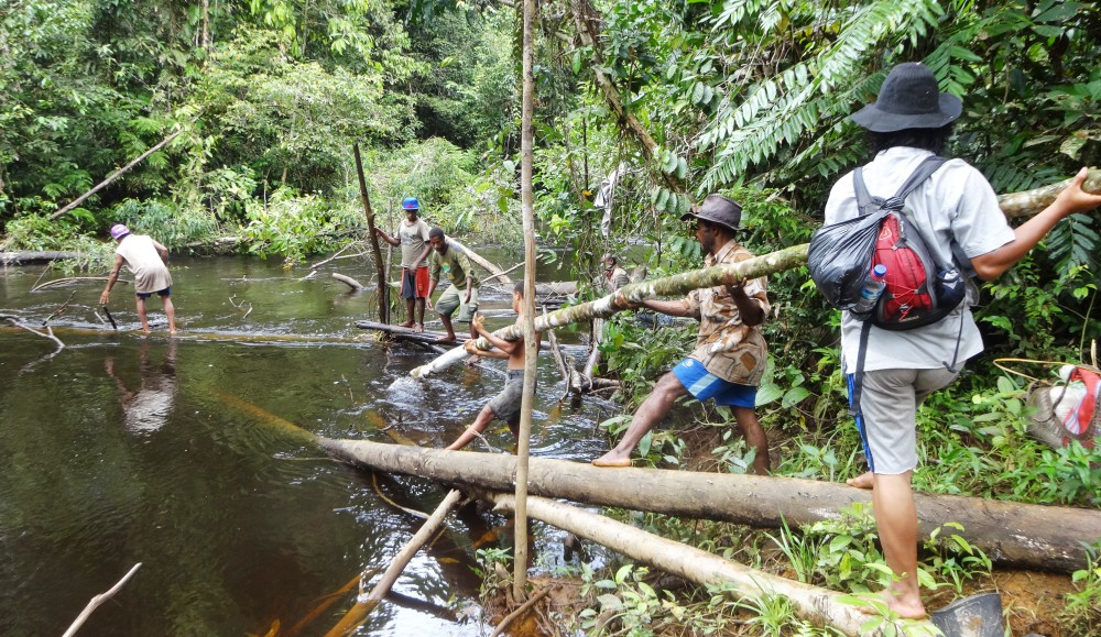 papouasie trek vallee Baliem