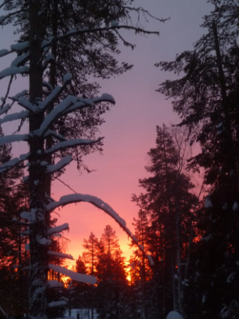 laponie soleil minuit