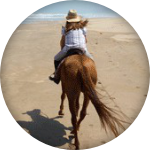 Maroc : Essaouira, de retour d'une évasion équestre