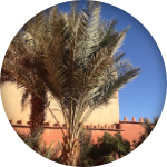 Avis de voyageurs : Jour de l'an sous les étoiles au Maroc