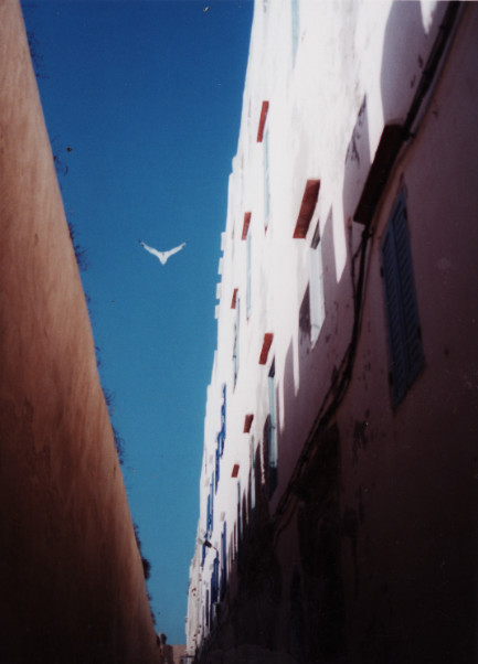 maroc essaouira remparts sophie paumard