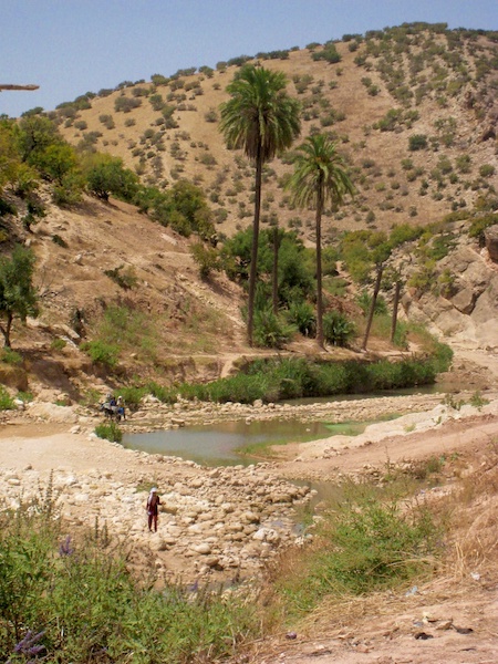 maroc sources neknefa