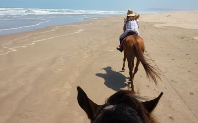 voyage theme maroc evasion equestre