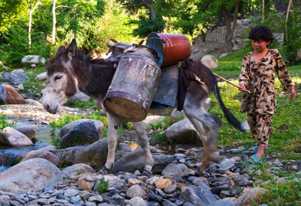 ouzbekistan vie locale
