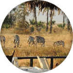 Notre lune de miel en Tanzanie avec l'Heure Vagabonde