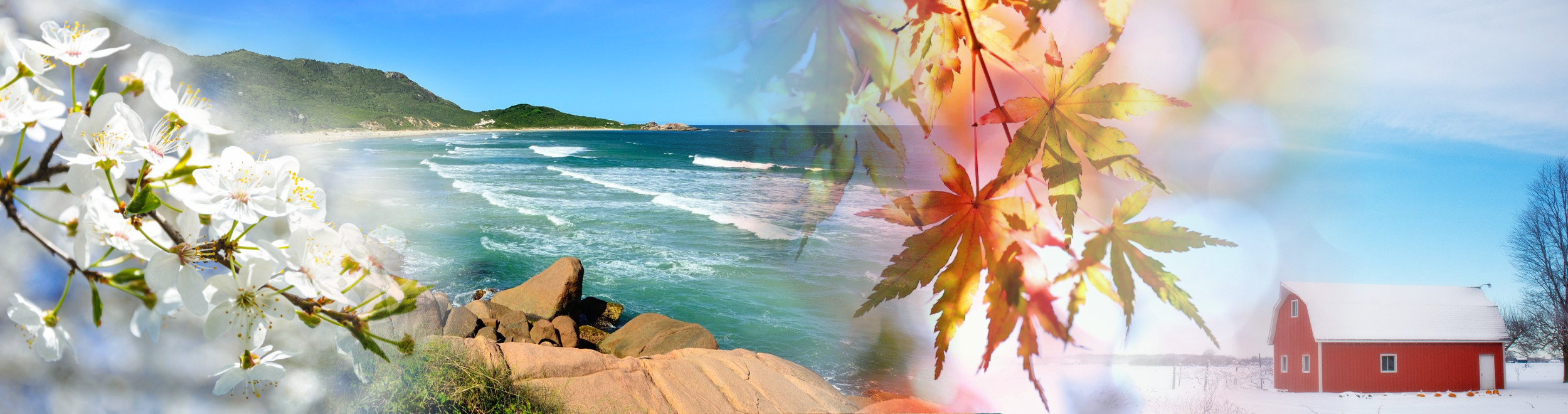 Les meilleures saisons pour voyager avec l'Heure Vagabonde