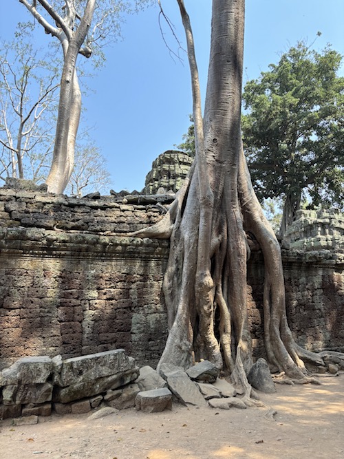 sejour sur mesure cambodge