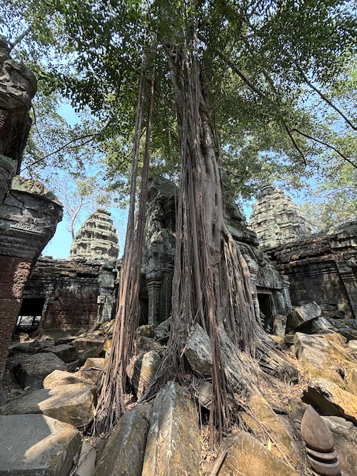 temple ta prohm angkor voayge cambodge