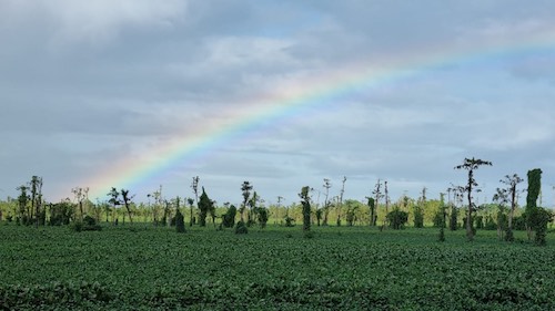 voyage mindanao agusan march