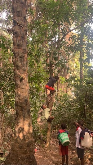 voyage nature ile guinée