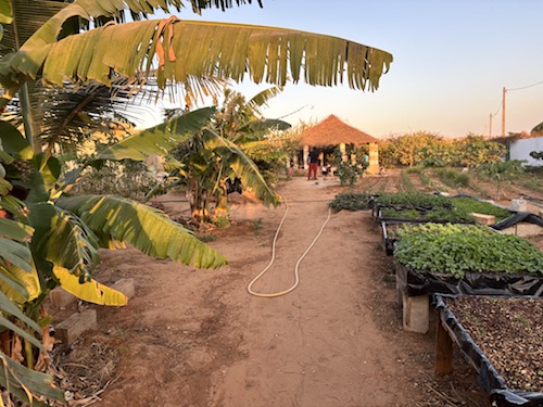 voyage participatif senegal